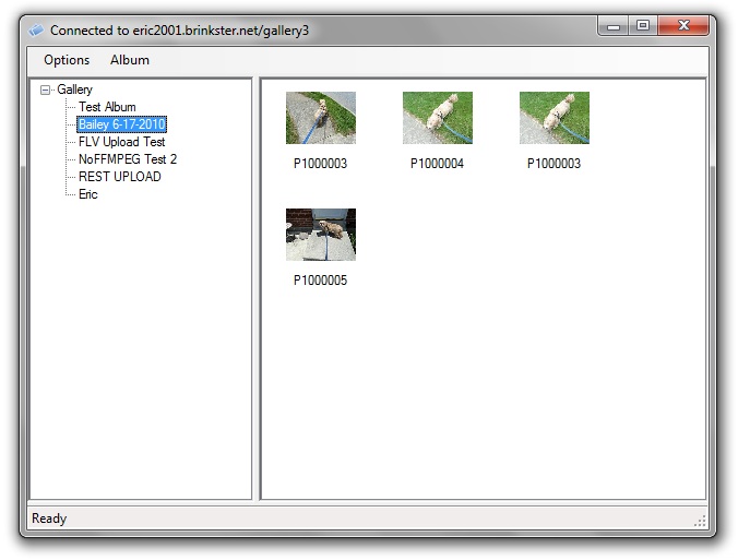 Restclient-albums.jpg