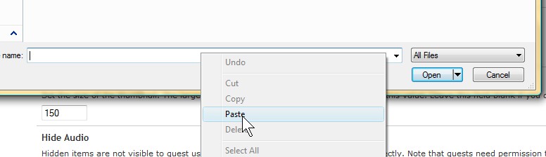 Pasting the URL