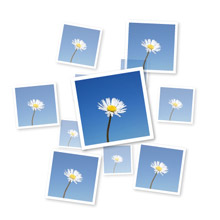 Photowidget.jpg