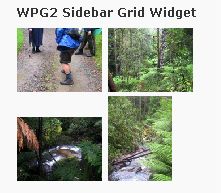 Wpg2sidebargrid.jpg