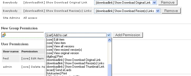 DL permissions.png
