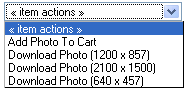 Action download.png