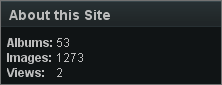 About this site.png
