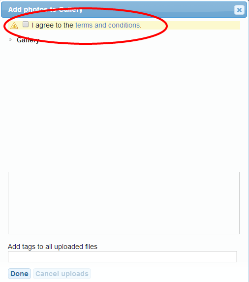 Upload disclaimer.png