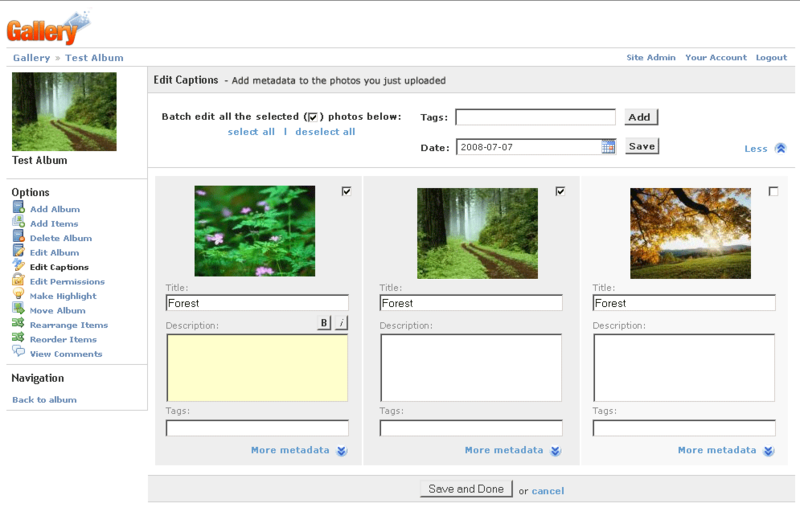 File:Metadata more-batch.png